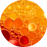 Protective Lipid Coating